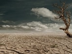 Global warming affects health. Global warming affects health.