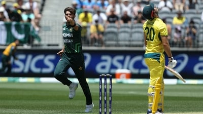 Pakistan's Shaheen Afridi (L) celebrates the wicket of Australia's Aaron Hardy (R) during the third one-day international (ODI) cricket match. (AFP) Pakistan's Shaheen Afridi (L) celebrates the wicket of Australia's Aaron Hardy (R) during the third one-day international (ODI) cricket match. (AFP)