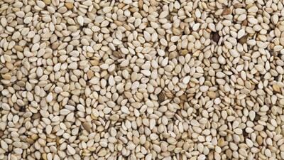 India is the largest producer of all verities of sesame seeds – off-white, black, yellow and brown-black. (Getty Images) India is the largest producer of all verities of sesame seeds – off-white, black, yellow and brown-black. (Getty Images)