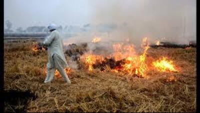 The departmental data also reveals that Kaithal remains to be the hotspot of farm fires this season with 174 cases since September 15. (HT representational image)