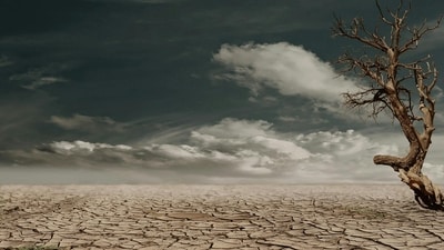 Global warming affects health. (Pexels) Global warming affects health. (Pexels)