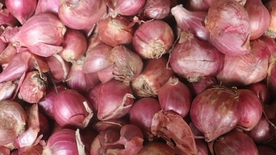Onion prices rise significantly across Delhi and Mumbai Onion prices rise significantly across Delhi and Mumbai