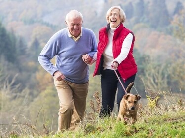 Thanks to dog walking, seniors participate in more frequent exercise, resulting in a lower body mass index, fewer visits to the doctor, and an increase in social connections. (Shutterstock) Thanks to dog walking, seniors participate in more frequent exercise, resulting in a lower body mass index, fewer visits to the doctor, and an increase in social connections. (Shutterstock)