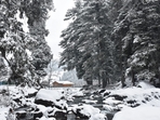 Winter wonderland! Kashmir's first snow brings beautiful views but closes major roads 