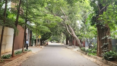 Here’s why Bengaluru’s Billionaire Street is the costliest and most coveted neighbourhood in the city (Shakshi Jain/ HT Digital) Here’s why Bengaluru’s Billionaire Street is the costliest and most coveted neighbourhood in the city (Shakshi Jain/ HT Digital)
