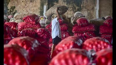 Navi Mumbai: A worker unloads a sack of onions at APMC Onion-Potato Market amid an increase in its price, in Navi Mumbai, Maharashtra, Tuesday, Nov 12, 2024. (PTI Photo) (PTI)