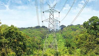 On September 24, forest minister Ishwara B Khandre directed officials to serve notices, demanding explanations from those involved. (File photo)