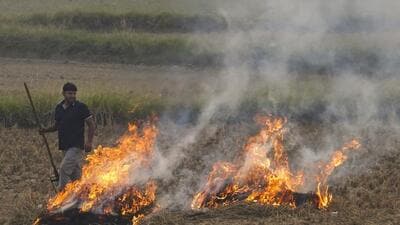 Palwal: A farmer burns stubble near Palwal, Haryana, Friday, Nov. 8, 2024. (PTI Photo/Kamal Kishore)(PTI11_08_2024_000277B) (PTI) Palwal: A farmer burns stubble near Palwal, Haryana, Friday, Nov. 8, 2024. (PTI Photo/Kamal Kishore)(PTI11_08_2024_000277B) (PTI)