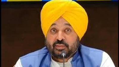 Punjab chief minister Bhagwant Mann. (HT File)