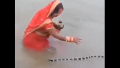A woman stayed calm as a venomous snake appeared during Chhath Puja rituals, stunning viewers. (Instagram) A woman stayed calm as a venomous snake appeared during Chhath Puja rituals, stunning viewers. (Instagram)