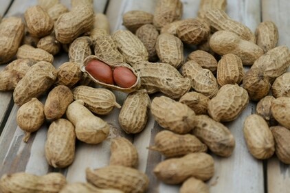 Legumes can reduce the risk of some cancers. (Pexels) Legumes can reduce the risk of some cancers. (Pexels)