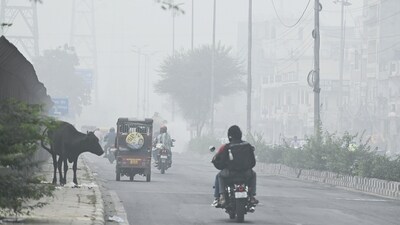 AQI in Anand Vihar dropped down to 399, 382 in Punjabi Bagh, and 376 in Ashok Vihar at 8 am, as per the Central Pollution Control Board. (ANI)