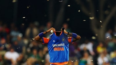 South Africa's chase was delayed for a few minutes after the first over due to an invasion of flying ants.&nbsp; (REUTERS)