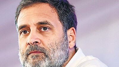 Leader of Opposition in LoK Sabha Rahul Gandhi (ANI) Leader of Opposition in LoK Sabha Rahul Gandhi (ANI)