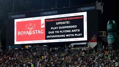 A general view of the digital board with a sign informing that play is temporarily suspended due to flying ants interfering with play during the third T20 international cricket match between South Africa and India at SuperSport Park in Centurion (AFP)