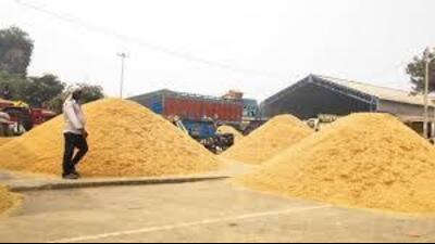 The crop from neighbouring states is generally brought here as it is of cheaper price, but this season the rate of paddy increased in UP due to which the crop did not arrive and the passes were deleted, the official quoted above, said. (HT File) The crop from neighbouring states is generally brought here as it is of cheaper price, but this season the rate of paddy increased in UP due to which the crop did not arrive and the passes were deleted, the official quoted above, said. (HT File)