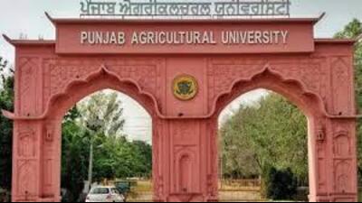 The global discussion is being held at Punjab Agricultural University (PAU), Ludhiana. (HT Photo)