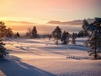 pexels-tobiasbjorkli-1900203