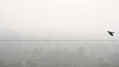 Dense fog has exacerbated air pollution levels in Delhi-NCR. (Sunil Ghosh/HT Photo) Dense fog has exacerbated air pollution levels in Delhi-NCR. (Sunil Ghosh/HT Photo)