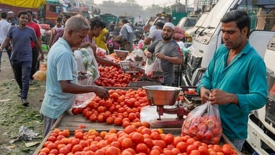 Representative image: Vegetable carts in Najafgarh market, Delhi, will be required to display the owner's name and phone number (PTI) Representative image: Vegetable carts in Najafgarh market, Delhi, will be required to display the owner's name and phone number (PTI)