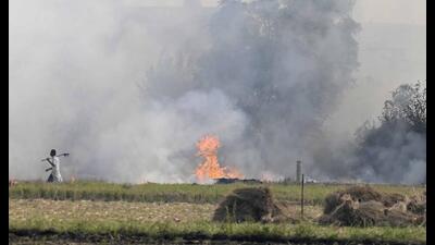 Punjab reported only five cases of stubble burning on Thursday, taking the tally to 7,626. (Picture only for representational purpose)