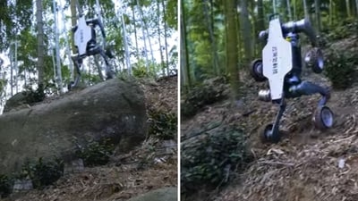 The image shows a robotic dog that easily conquers tough terrains in a viral video. (YouTube/@deeprobotics8601) The image shows a robotic dog that easily conquers tough terrains in a viral video. (YouTube/@deeprobotics8601)
