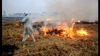 The sudden rise in farm fires is driven by the approaching wheat sowing deadline, as farmers hurry to clear fields for rabi crops, experts said. (PTI File) The sudden rise in farm fires is driven by the approaching wheat sowing deadline, as farmers hurry to clear fields for rabi crops, experts said. (PTI File)