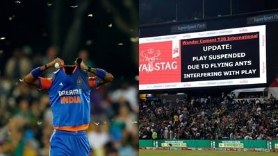 Flying ants stopped play during the 3rd T20I match between India and South Africa