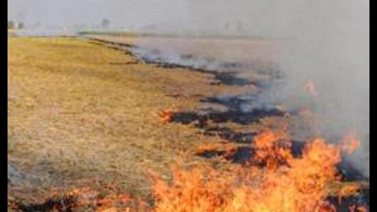 The Moga deputy commissioner says the Supreme Court and the Commission for Air Quality Management have taken a serious note of the incidents of stubble burning in the state.
