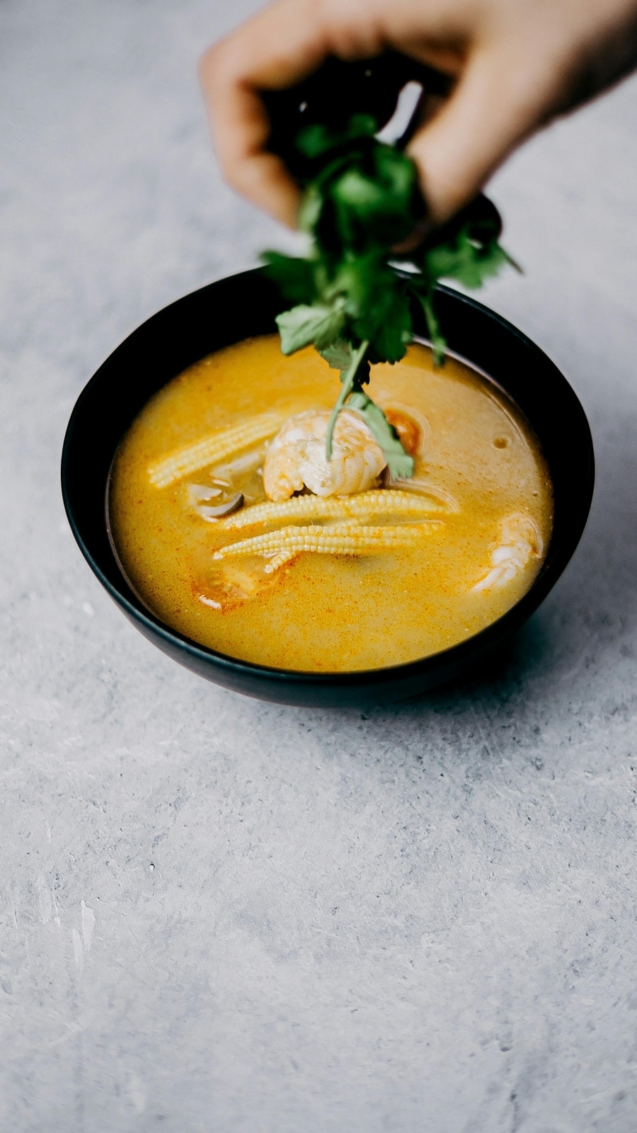 soup
