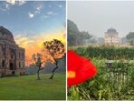 Discover Delhi's top picnic spots to embrace winter with nature and history(Instagram)