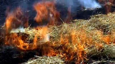 Sangrur district continued to top the charts, reporting 50% of the total farm fire cases reported in the state on Friday. Of the total 238 crop residue burning cases on Friday, Sangrur reported 119 cases. (ANI File) Sangrur district continued to top the charts, reporting 50% of the total farm fire cases reported in the state on Friday. Of the total 238 crop residue burning cases on Friday, Sangrur reported 119 cases. (ANI File)