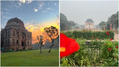 Discover Delhi's top picnic spots to embrace winter with nature and history (Instagram) Discover Delhi's top picnic spots to embrace winter with nature and history (Instagram)