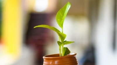 Climate crisis (Pixabay) Climate crisis (Pixabay)