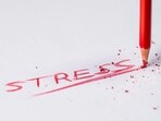 Stress alters the way the brain stores a distinct memory.