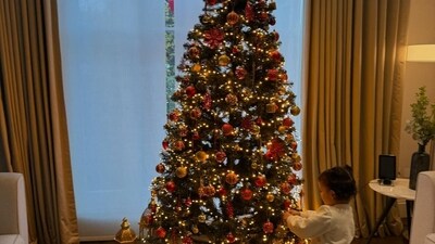 Malti Marie was also seen decorating a Christmas tree in a picture. 