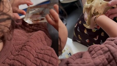 A brave Malti Marie was seen playing with a glass piece with a spider inside it. She also put her finger inside a skull. 