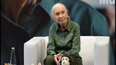 Mumbai, India. Nov 16, 2024: Renowned conservationist and primatologist Dr. Jane Goodall spoke during her visit to the Museum of Solution in Mumbai on Saturday, November 16, 2024. Her talk offers insights into chimpanzee behaviour, conservation efforts, and the power of individual action. Mumbai, India. Nov 16, 2024. (Photo by Raju Shinde/HT Photo) (Hindustan Times) Mumbai, India. Nov 16, 2024: Renowned conservationist and primatologist Dr. Jane Goodall spoke during her visit to the Museum of Solution in Mumbai on Saturday, November 16, 2024. Her talk offers insights into chimpanzee behaviour, conservation efforts, and the power of individual action. Mumbai, India. Nov 16, 2024. (Photo by Raju Shinde/HT Photo) (Hindustan Times)