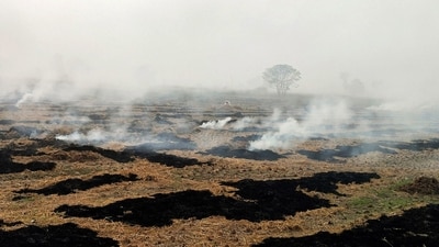 Stubble being burnt in a paddy field on the outskirts of Amritsar on Saturday. (PTI) Stubble being burnt in a paddy field on the outskirts of Amritsar on Saturday. (PTI)