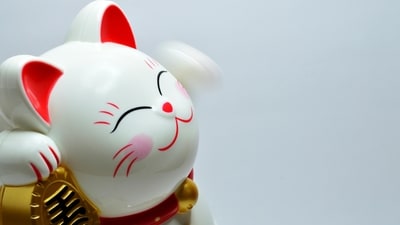Read your lucky horoscope based on your Chinese zodiac sign. (Pexels)
