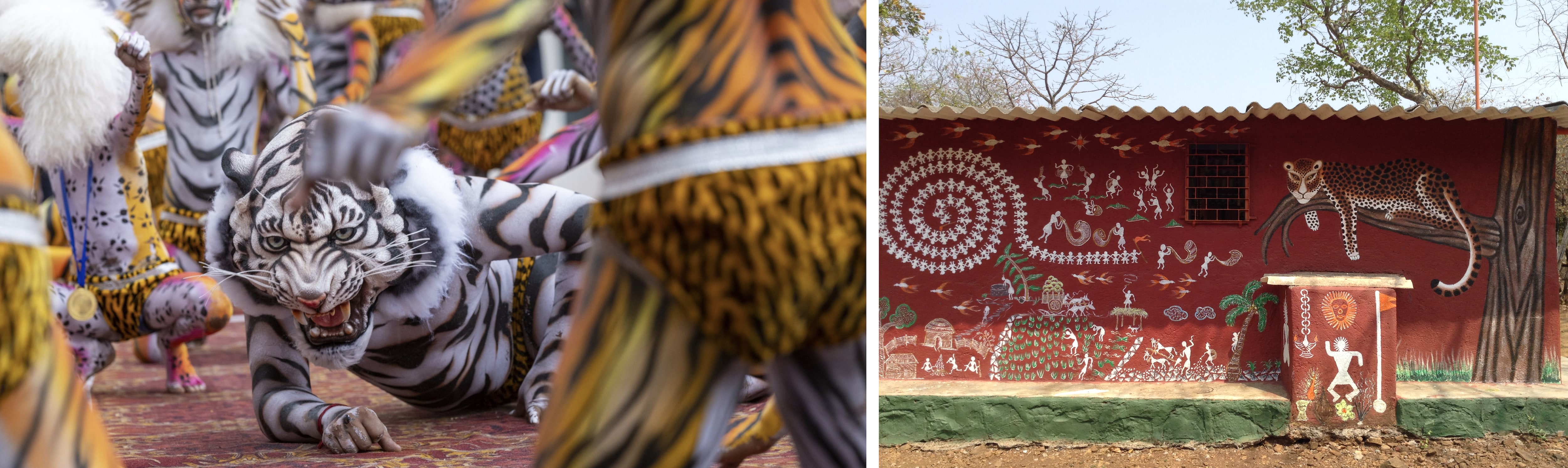 Hulivesha or Pilivesha (tiger dance) is a folk art of the Tulu Nadu region of Karnataka. (On right) Painting depicts co-existence of leopards and humans on a Warli temple wall inside Sanjay Gandhi National Park, Mumbai. The temple worships ‘Waghoba’ --- the big cat deity. (YASHPAL RATHORE (VANA KATHA) & DIPTI HUMRASKAR (PROJECT WAGHOBA)) Hulivesha or Pilivesha (tiger dance) is a folk art of the Tulu Nadu region of Karnataka. (On right) Painting depicts co-existence of leopards and humans on a Warli temple wall inside Sanjay Gandhi National Park, Mumbai. The temple worships ‘Waghoba’ --- the big cat deity. (YASHPAL RATHORE (VANA KATHA) & DIPTI HUMRASKAR (PROJECT WAGHOBA))