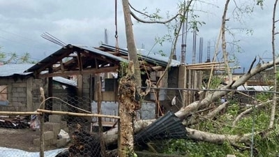 Trees and a building are damaged in the aftermath of Super Typhoon Man-Yi, in Catanduanes province, Philippines (via REUTERS)