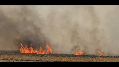 As the window for the rabi crop wheat is very short after the paddy harvest, some farmers set their fields on fire to quickly clear the crop residue and sow the next crop. (HT File)