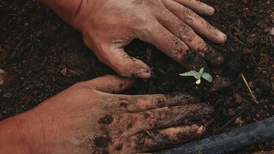 To estimate the developing world’s requirements in climate finance, economists add together three financing needs. (Unsplash)