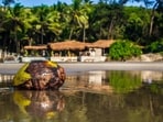 Goa