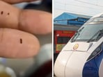The passenger shared a video of the insects he found inside the sambar on social media.