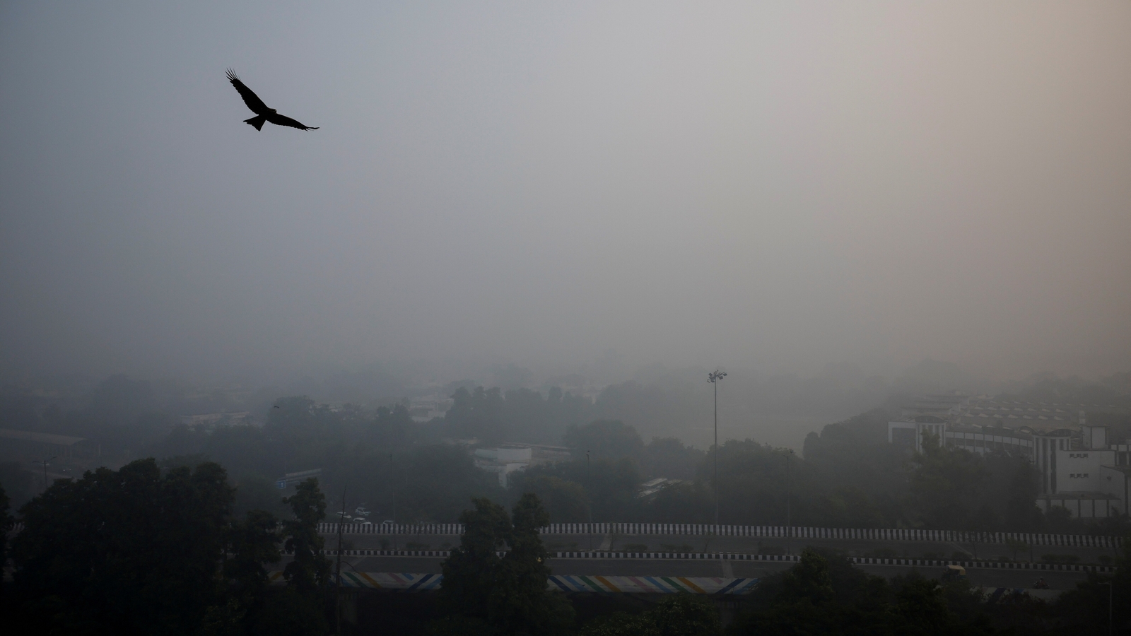 デリー空港はスモッグの中で低視程対策を発動、インディゴは乗客への勧告を発動 |最新ニュース インド