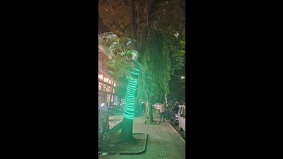 Many shops and commercial establishments across the city have decorated trees with objects like banners, wires, and nails that disrupt a tree’s natural day-night cycle, potentially affecting its growth and reproductive patterns. (HT PHOTO) Many shops and commercial establishments across the city have decorated trees with objects like banners, wires, and nails that disrupt a tree’s natural day-night cycle, potentially affecting its growth and reproductive patterns. (HT PHOTO)