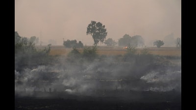 The chief secretary emphasised the need for strict adherence to the GRAP in NCR districts (REUTERS)