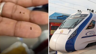 The passenger shared a video of the insects he found inside the sambar on social media. (X/@manickamtagore) The passenger shared a video of the insects he found inside the sambar on social media. (X/@manickamtagore)